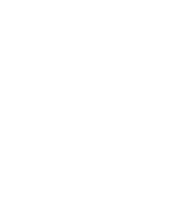 Pursued International Foundation